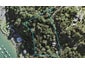 163 Wade River Road, Wade Heads, Whangaparaoa - Carousel 1