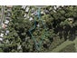 37 Hartley Terrace, Massey, Auckland - Carousel 1