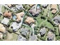 23 Belle-Mer Place, Gulf Harbour, Whangaparaoa - Carousel 1