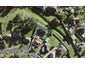 31A Freeland Avenue, Mount Roskill, Auckland - Carousel 1