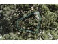 149 Wade River Road, Wade Heads, Whangaparāoa - Carousel 1