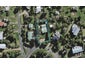 1 Fisher Street, Surfdale, Waiheke Island - Carousel 1