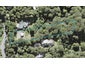 106 Mountain Road, Henderson Valley, Auckland - Carousel 1