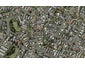 52C Boakes Road, Mount Wellington, Auckland - Carousel 1