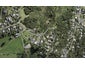 57 Cory Road, Palm Beach, Waiheke Island - Carousel 1