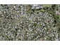 2/58A Gossamer Drive, Pakuranga Heights, Auckland - Carousel 1