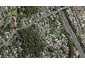 7 Hillcrest Grove, Hillpark, Auckland - Carousel 1