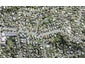 2/147A Carlisle Road, Northcross, Auckland - Carousel 1