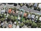 22 Sandringham Road, Mount Eden, Auckland - Carousel 1
