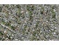 28 Finch Street, Morningside, Auckland - Carousel 1