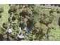 23 Ferry Road, Wade Heads, Whangaparaoa - Carousel 1