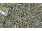 71A Glenmore Road, Sunnyhills, Auckland - Carousel 1
