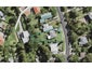 31 Derwent Crescent, Titirangi, Auckland - Carousel 1