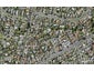 15C Wilbur Place, Pakuranga Heights, Auckland - Carousel 1