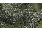 20 Coromandel Road, Oneroa, Waiheke Island - Carousel 1