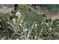 45 Queens Drive, Oneroa, Waiheke Island - Carousel 1