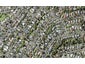 49 Kesteven Avenue, Glendowie, Auckland - Carousel 1