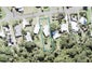39 Foster Avenue, Huia, Auckland - Carousel 1