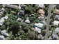 52A Aroha avenue, Sandringham, Auckland - Carousel 1