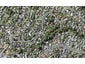 31 Glenfern Road, Mellons Bay, Auckland - Carousel 1