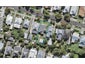 18 Ethel Street, Sandringham, Auckland - Carousel 1