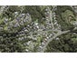 214 Greenhithe Road, Greenhithe, Auckland - Carousel 1