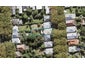 54 Selbourne Street, Grey Lynn, Auckland - Carousel 1