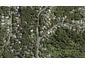241 Godley Road, Titirangi, Auckland - Carousel 1