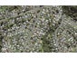75B Salisbury Road, Birkdale, Auckland - Carousel 1