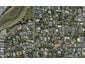 10 Albert Street, Gladstone, Invercargill - Carousel 1