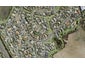 43 Moss Crescent, Takanini, Auckland - Carousel 1