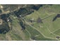 190 Wonderview Lane, Hakaru, Kaiwaka - Carousel 1