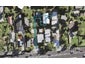 6/50 Tiverton Road, Avondale, Auckland - Carousel 1