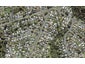 2/A/75A SALISBURY Road, Birkdale, Auckland - Carousel 1