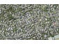 2/34 Penzance Road, Mairangi Bay, Auckland - Carousel 1