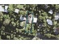 211 Wade River Road, Wade Heads, Whangaparaoa - Carousel 1
