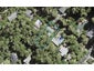 21 Valley Road, Titirangi, Auckland - Carousel 1