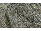 2/22 Pavola Grove, Glenfield, Auckland - Carousel 1