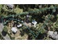 69 Paremoremo Road, Lucas Heights, Auckland - Carousel 1