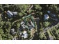 53 Aldersgate Road, Hillsborough, Auckland - Carousel 1