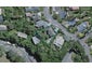 20A Putnam Street, Northland, Wellington - Carousel 1