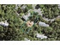 38 Kohu Road, Titirangi, Auckland - Carousel 1