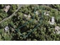 23 Otitori Bay Road, Titirangi, Auckland - Carousel 1
