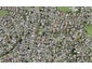 19 Minaret Drive, Bucklands Beach, Auckland - Carousel 1