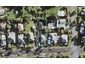 22A Walsall Street, Avondale, Auckland - Carousel 1
