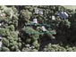 57 Garden Road, New Lynn - Carousel 1