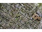 38 Oakley Avenue, Waterview, Auckland - Carousel 1