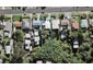 9 Fordham Street, Beach Haven, Auckland - Carousel 1
