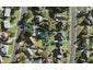 2 Nekuneku Lane, Mount Roskill, Auckland - Carousel 1