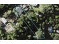33 Pohutukawa Avenue, Shelly Park, Auckland - Carousel 1